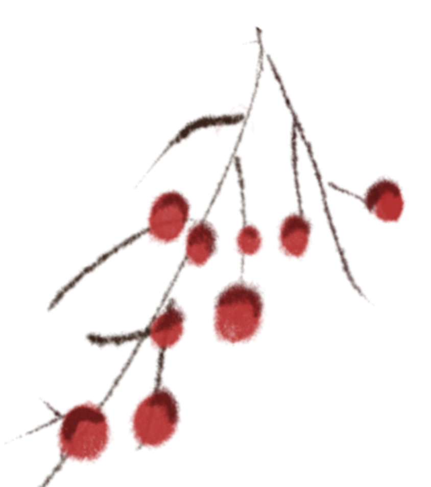 211958wbz2xelylhuhwuee.png