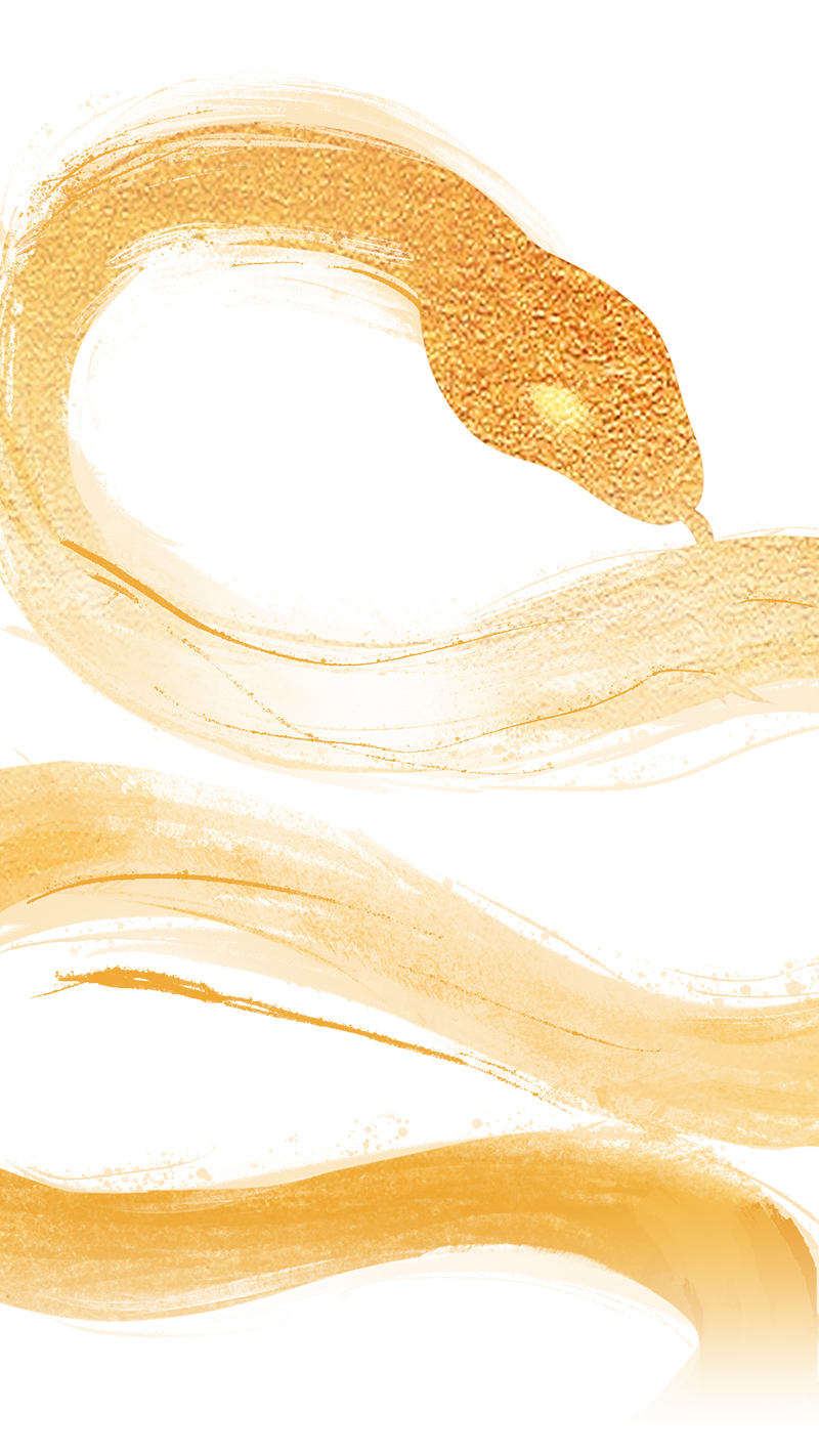 212527t5u5vmgzi4guuw00.png