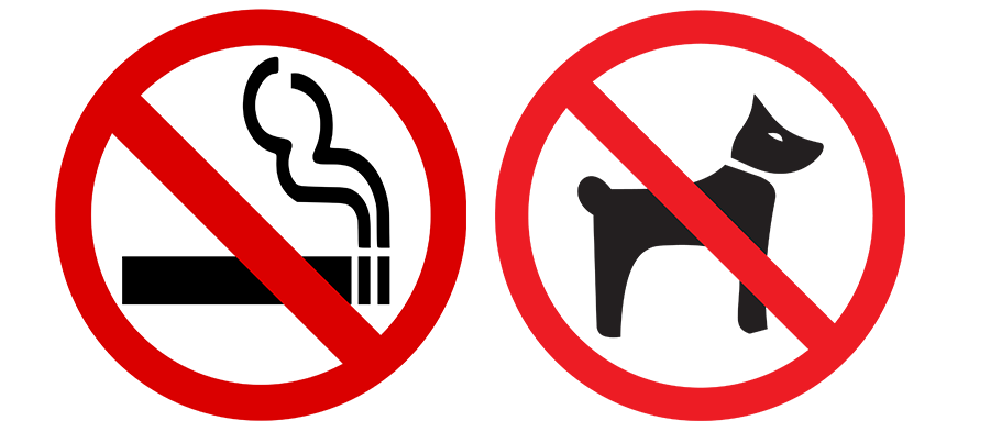 190210xznjalt562jpcu65.png
