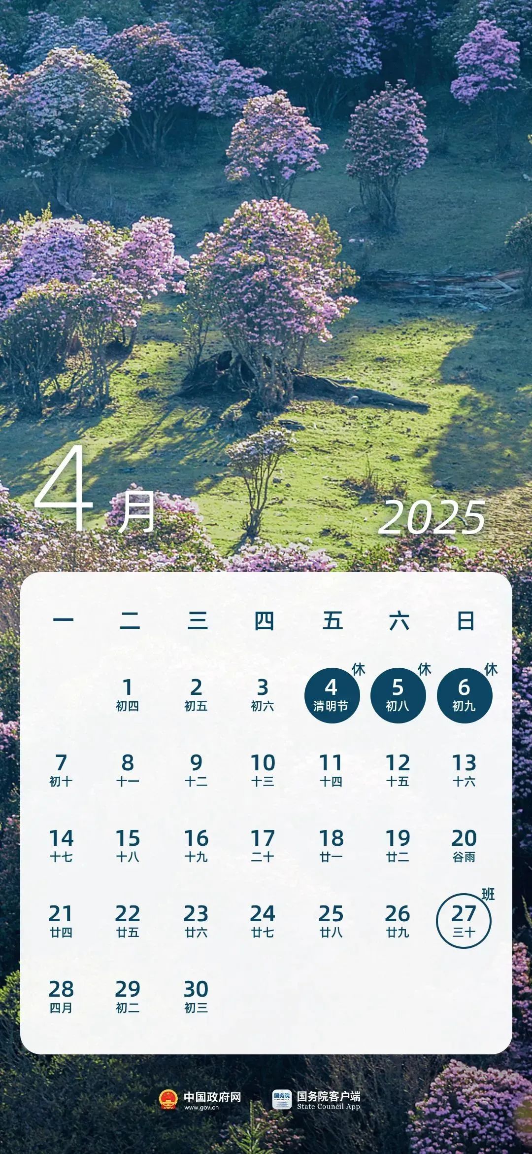 163129mbasbs84nh9sbzrr.jpeg