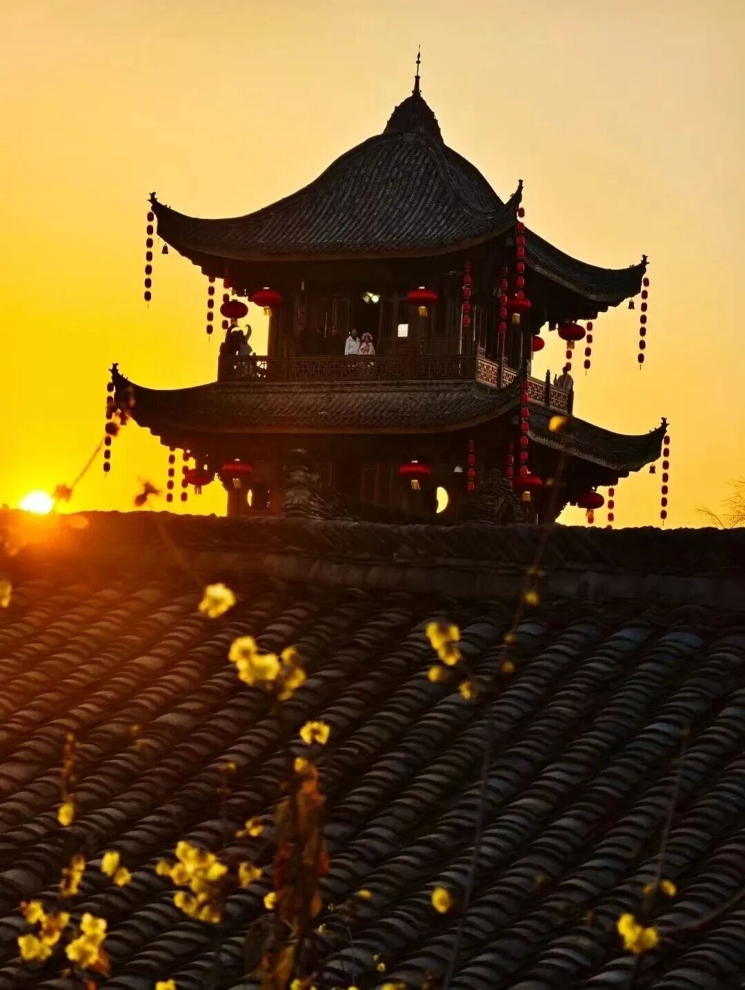 微信图片_2026-01-05_175646_401.jpg
