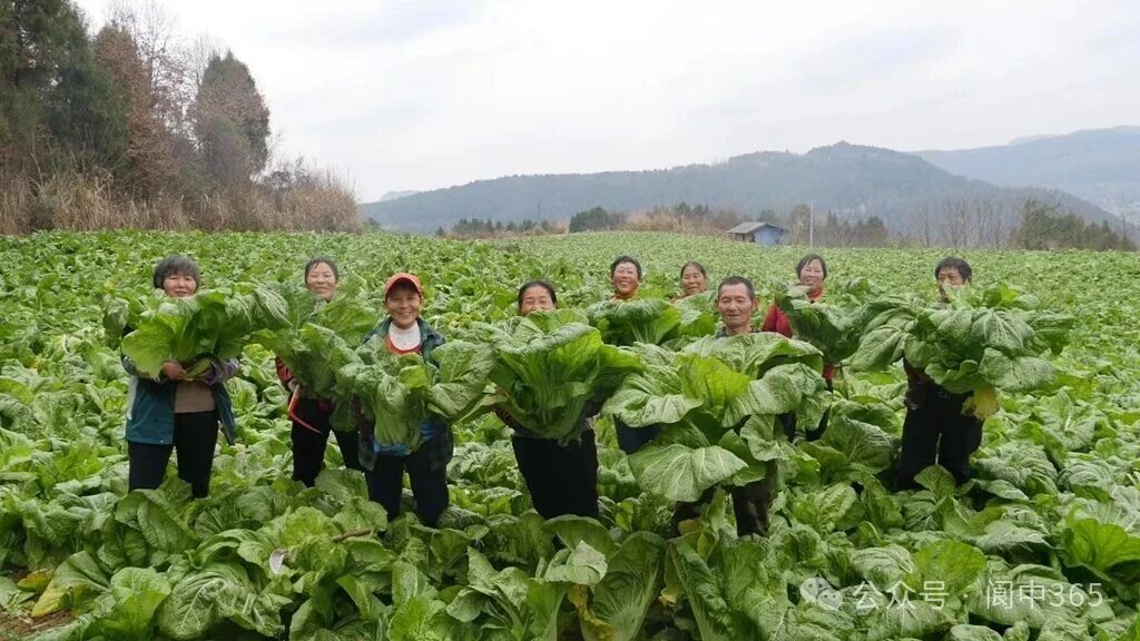 微信图片_2026-01-09_144036_768.jpg