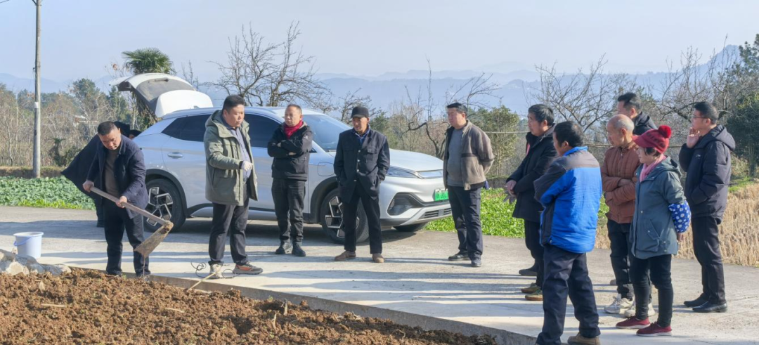 微信图片_2026-01-10_174504_431.png