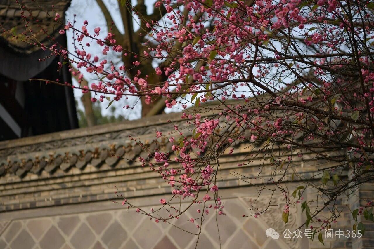 微信图片_2026-01-13_151400_979.jpg