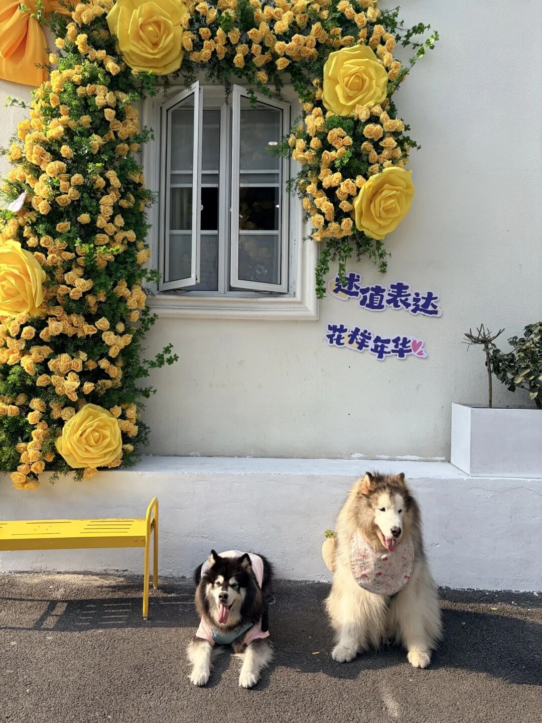 微信图片_2026-01-16_172808_342.jpg