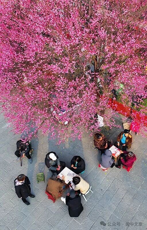 微信图片_2026-01-16_174528_519.jpg