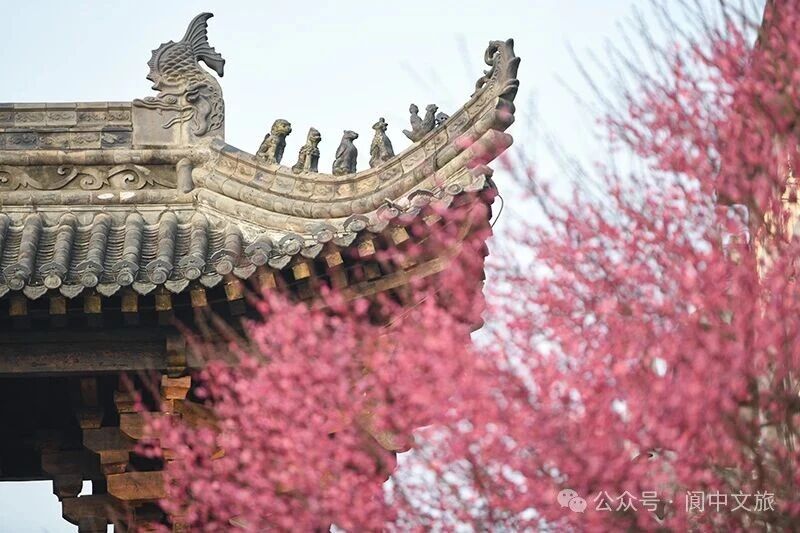 微信图片_2026-01-16_174525_056.jpg