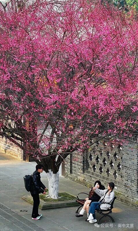 微信图片_2026-01-16_174531_823.jpg