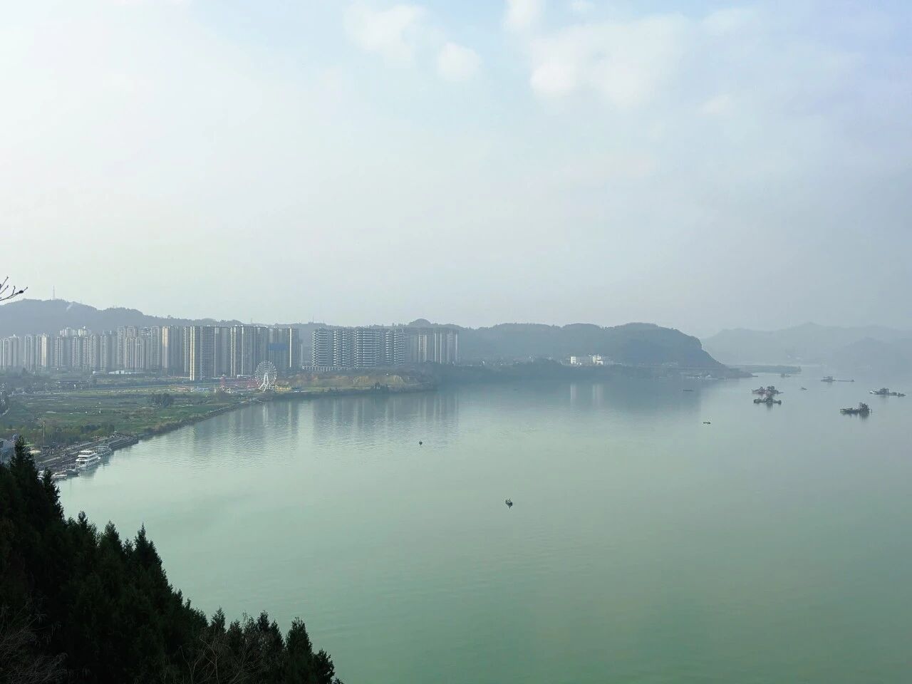 微信图片_2026-01-29_142841_367.jpg
