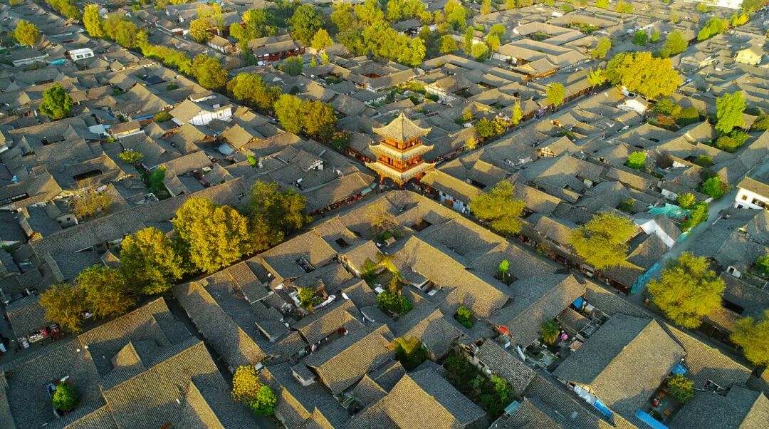 微信图片_2026-02-05_141913_170.jpg
