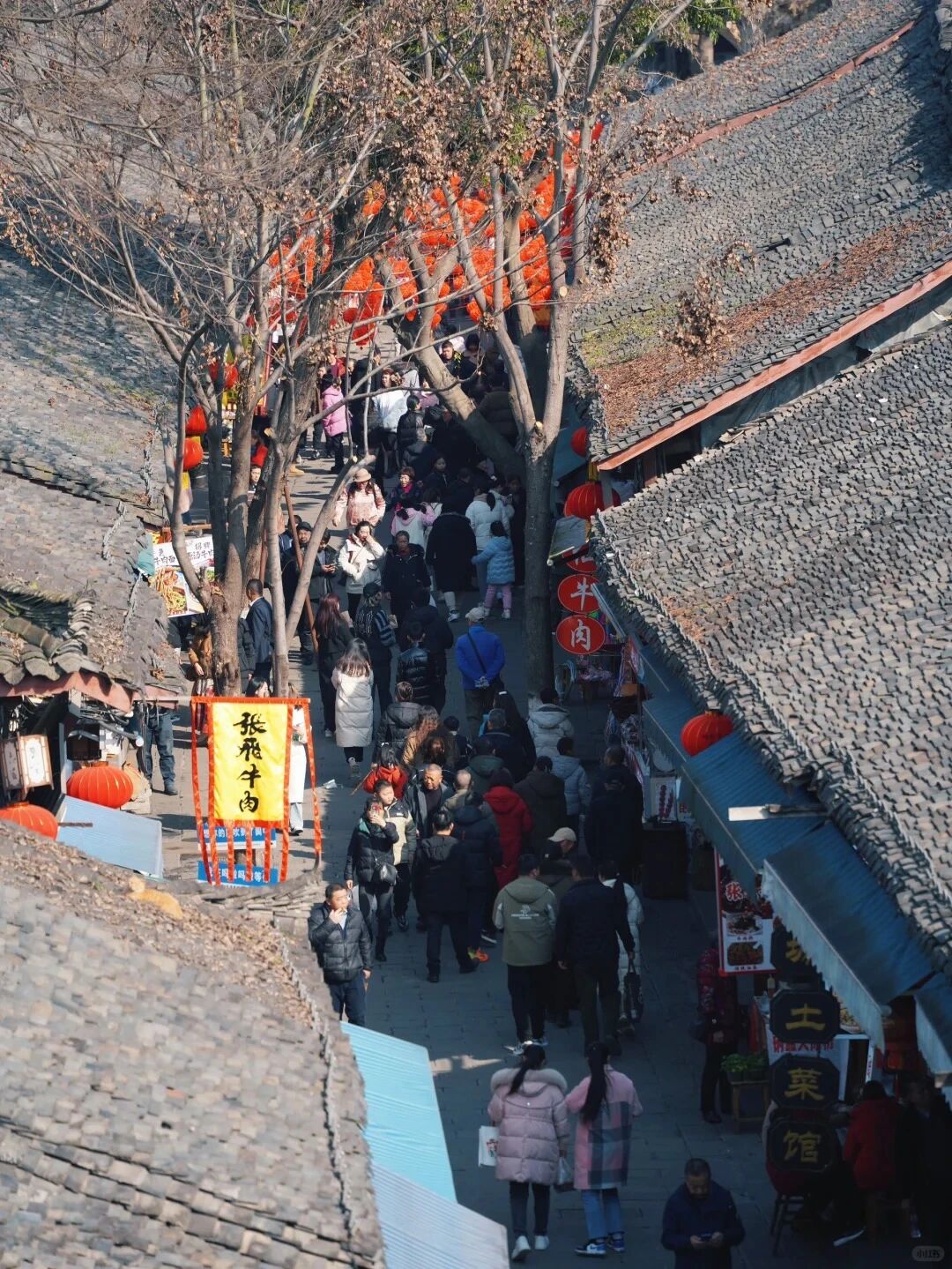 微信图片_2026-02-12_112543_272.jpg