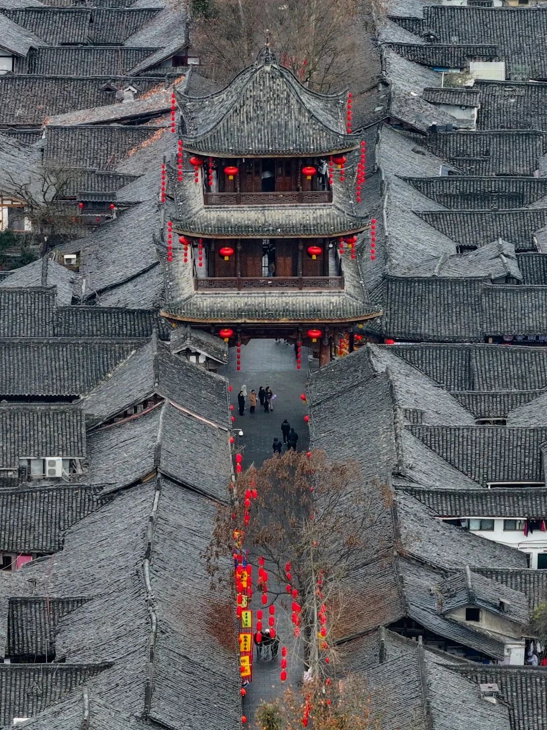 微信图片_2026-02-12_112651_649.jpg