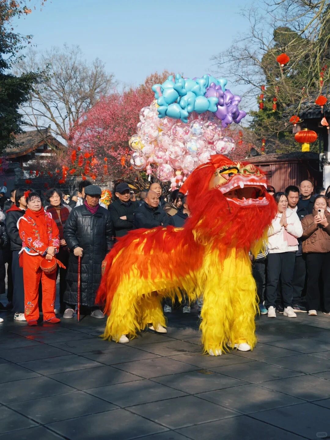 微信图片_2026-02-12_112755_820.jpg